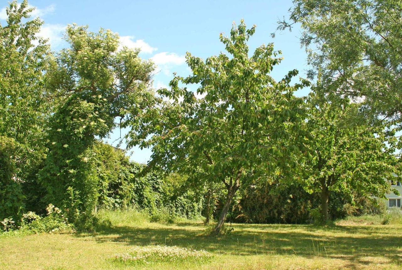 Ferienwohnungen Mirow See 10360 Kültér fotó